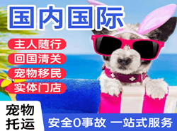三明沙县机场物流国际宠物托运 【国